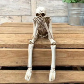 Spooky Skeleton Yard Decor  Halloween Decore Tektoty